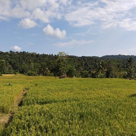 Amed Stop Inn Homestay, Rooftop Restaurant And Bar エクステリア 写真